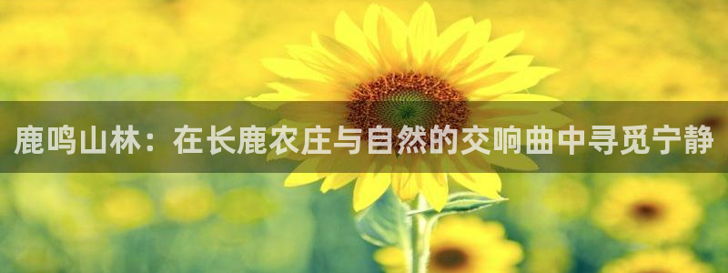 九游会AG8官网：鹿鸣山林：在长鹿农庄与自然的交响曲中寻觅宁