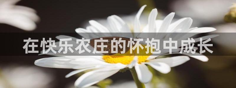 九游会j9000