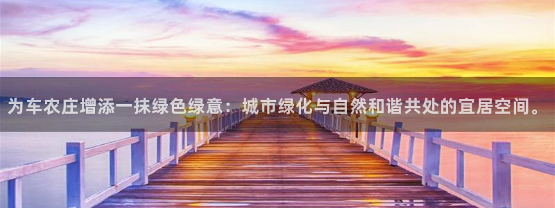 九游会新站