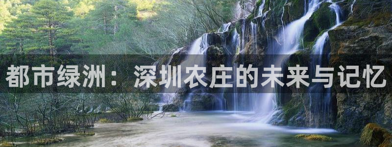 九游会足彩