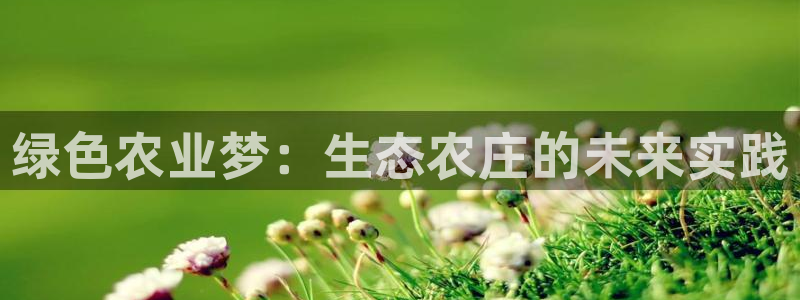 九游会ag网址
