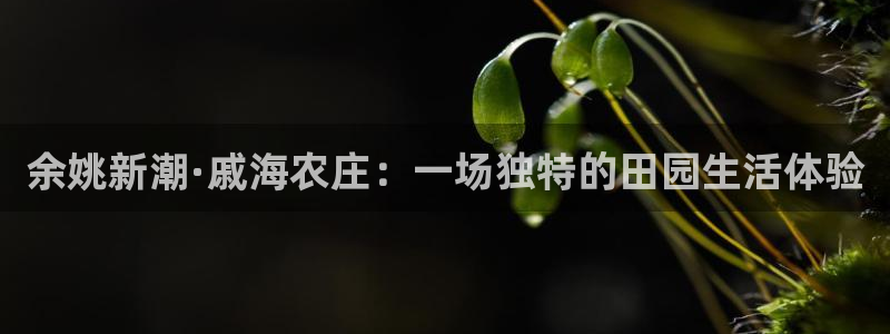 九游会体育综合