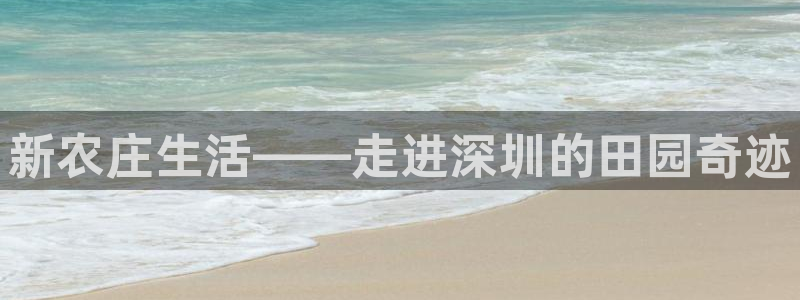 j9九游会体育