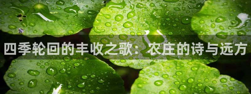 九游会JY官网