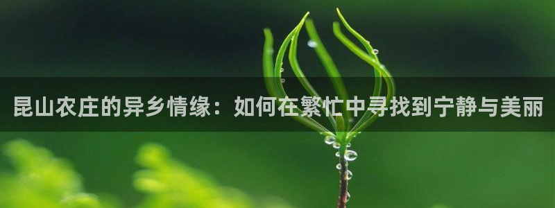 九游会新站