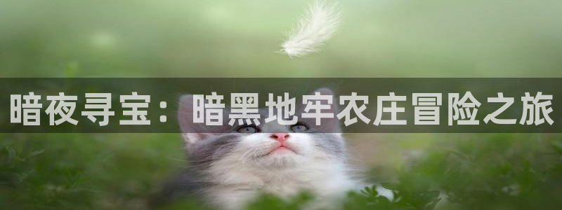 九游会app