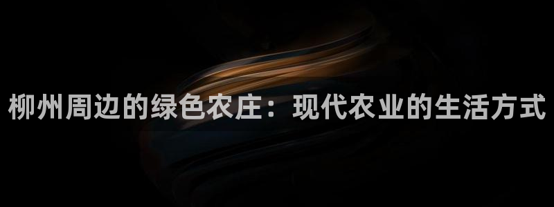 九游会老哥吧