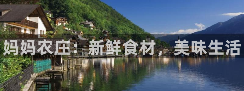 九游会ip