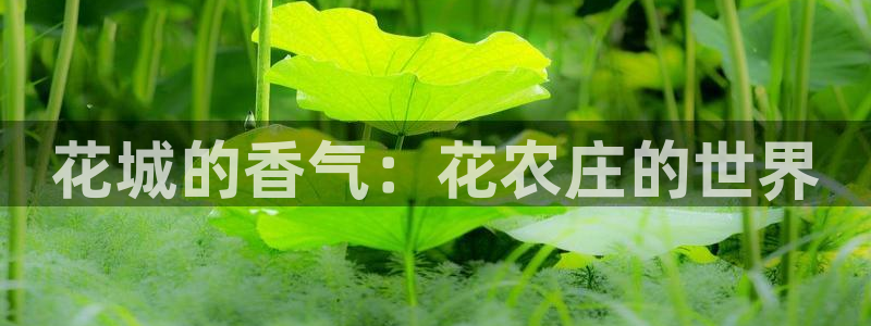 立即充值 九游会