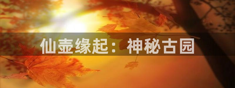 九游会官网登录中心