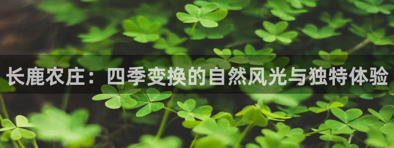 j9九游会app