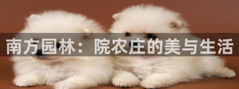 ja九游会