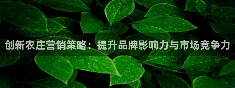 九游会棋牌游