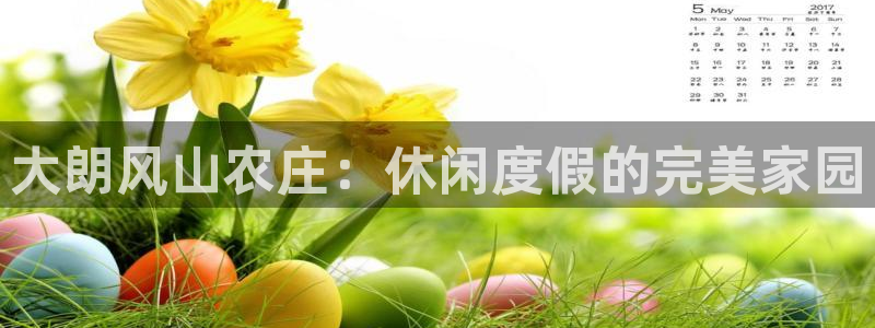 九游会黑网投