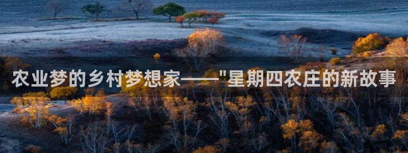九游会软件