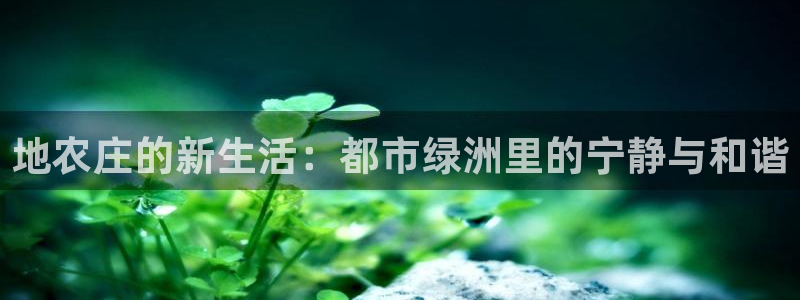 ag亚洲九游会登录