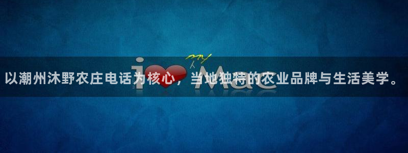 币游九游会