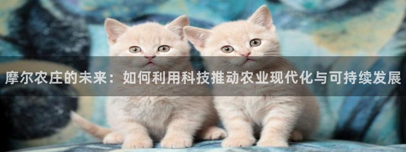 九游会备用网址