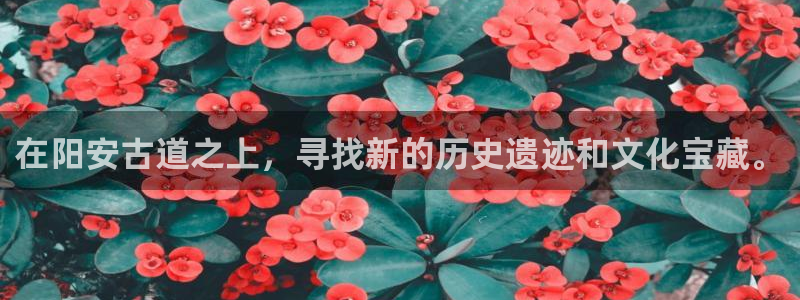九游会体育捕鱼