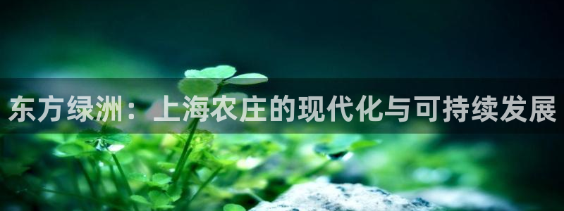 j9九游会最新网站