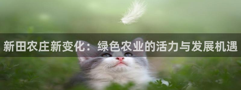 91九游会
