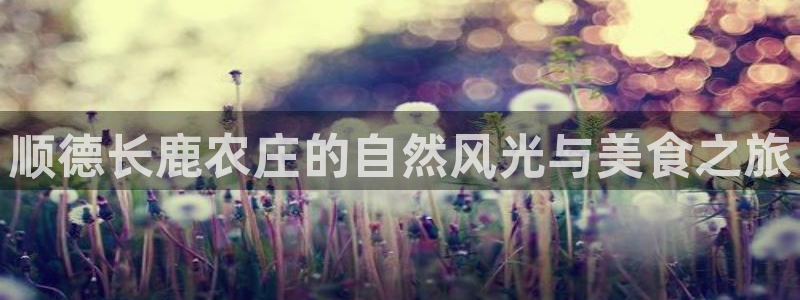 九游会老哥论坛