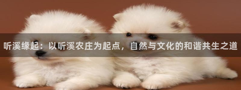 九游会平台九游会