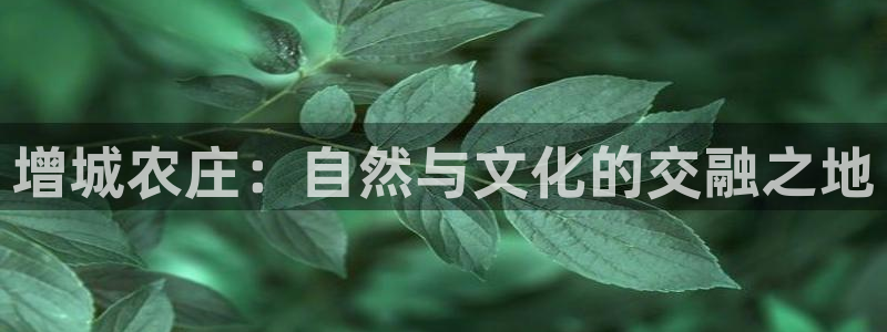 九游会黑款