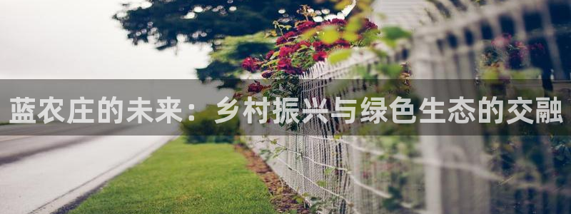 九游会鸭油