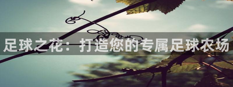 做九游返利会封号嘛