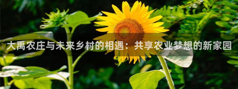 曝光九游会