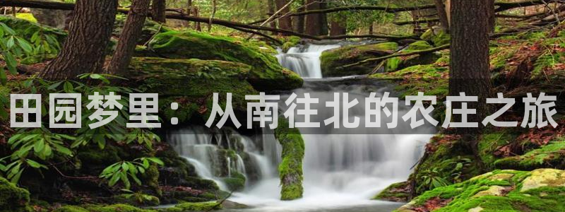 九游会台子