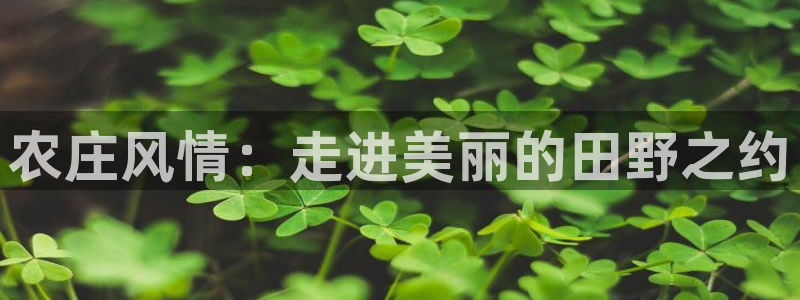 九游会官网入口下载安装