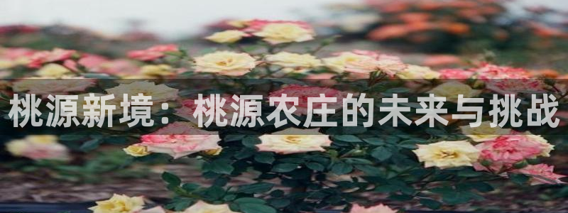 九游会赢了