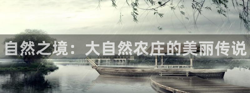 九游会体育网页版