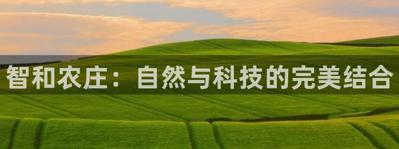 九游会AGapp下载