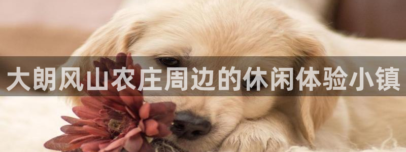 九游游戏股票会退市吗吗