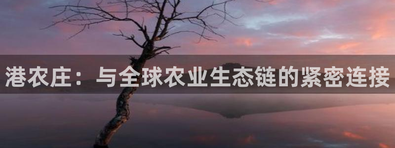 九游会取款分流