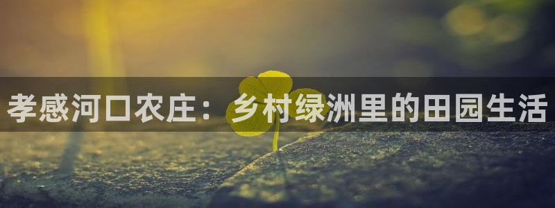九游会备用网站