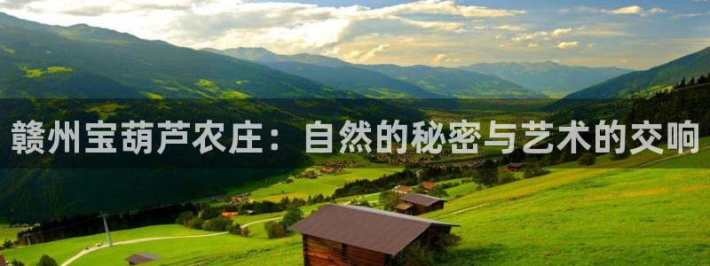 九游会网络