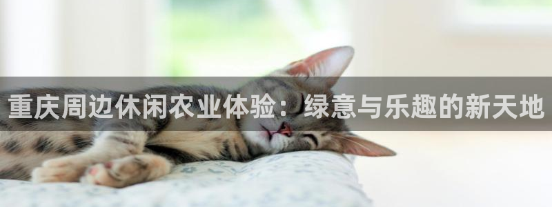 江苏九游会