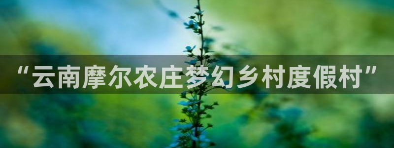 九游会ag.