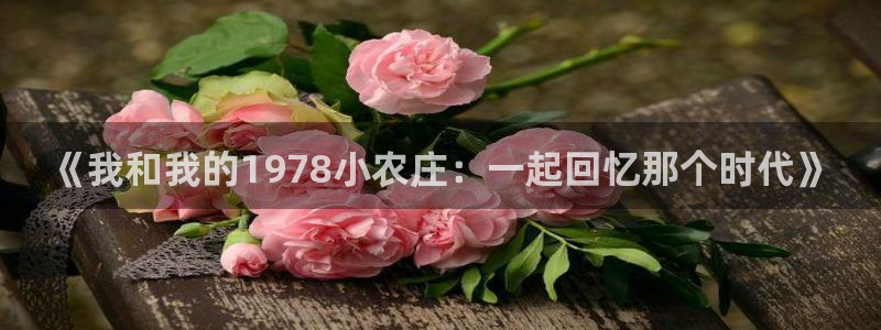 j9九游会最新网站