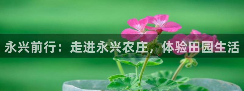 AG更名九游会
