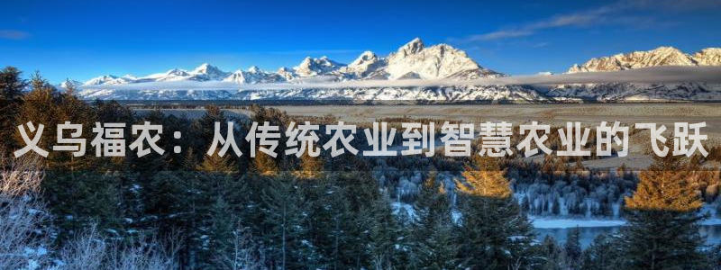 改名九游会