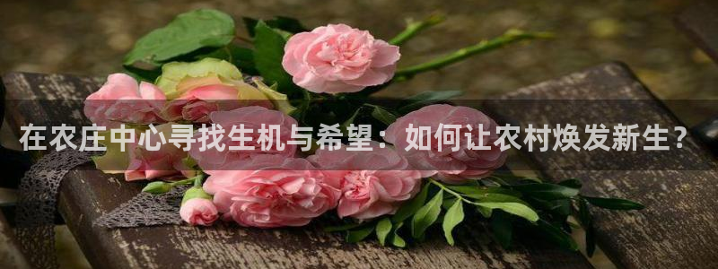 九游会毕