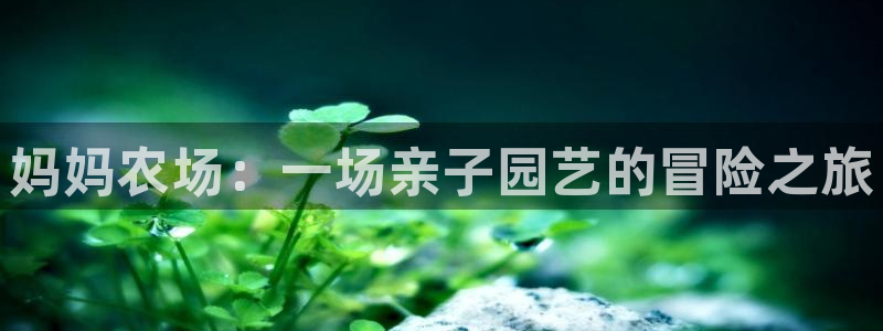九游会让游客