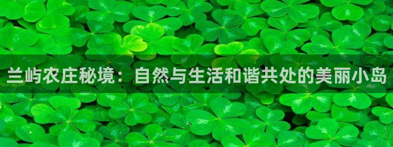 九游会真人游戏第一品