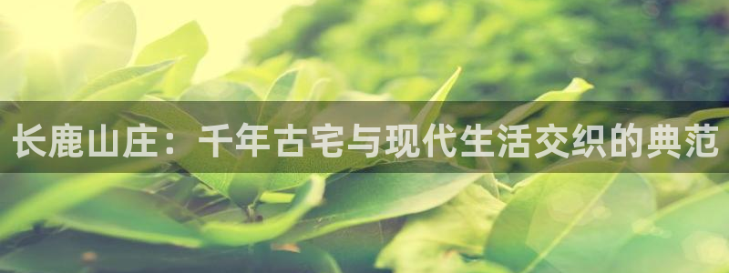 九游会怎么提款