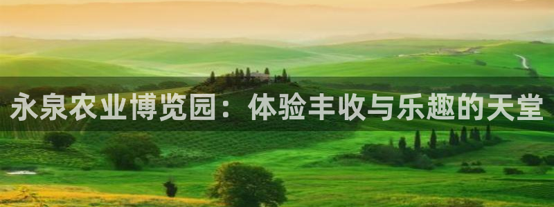 九游会2853179Z空间